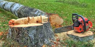 Best Stump Grinding and Removal  in Maple Lake, MN